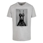 Mens T-shirt Dawg grey