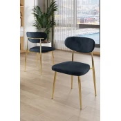 HANAH HOME Set stolica (4 komada) Vina Anthracite Gold