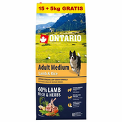 ONTARIO Adult Medium Lamb & Rice 15+5kg GRATIS