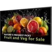 Philips D-Line 43BDL5050D digitalni signage zaslon 43 4K 24/7 Android 14