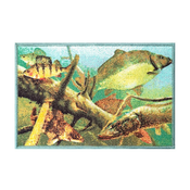 Predpražnik Delphin Aqua Rug 60x40cm/795000301