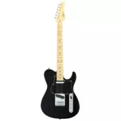 FGN Fujigen BIL2MHS Black elektricna gitara