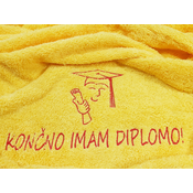 BRISAČA DIPLOMA
