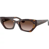 Ray-Ban RB4430 135913