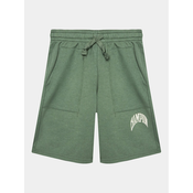 Champion Authentic Athletic Apparel Hlače, zelena