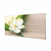 tulup.si Stenska plošča za kuhinjo Bele magnolije 125x50 cm