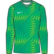Nike Dres z dolgimi rokavi Dri-FIT Gardien VI Goalkeeper Long Sleeve Women
