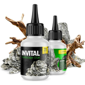 INVITAL HardScape Glue 20 g - lepilo za dekoracije