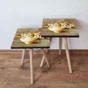 Hanah Home Set klub stocica 2Shp307, 2 komada, Šareni