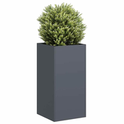 Vidaxl vidaXL Cvetlični lonec antraciten 40x40x80 cm hladno valjano jeklo