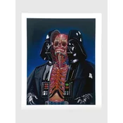 Nychos Dissection of Darth Vader Fine Art Print multicolor