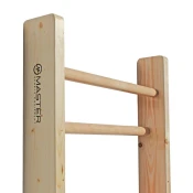 Master Lestve - MASTER 240 x 90 cm - lakirane