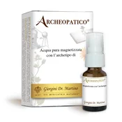 Dr Giorgini Chakra Plexus-Body PhysicalEtheric 15 CA