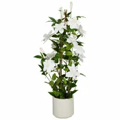 shumee Umetno belo drevo klematisa 98 cm v loncu