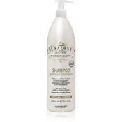 Šampon Glorious za suhe in puste lase 1000 ml