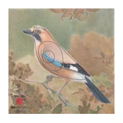 JVD Target Face Animal Jay