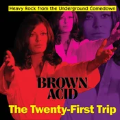 Various Artists - Brown Acid: the 21th Trip (LP)