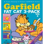 Garfield Fat Cat 3-Pack #6