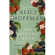 Invisible Hour