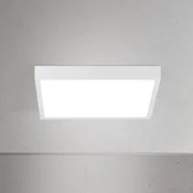 ORION LED stropna svjetiljka Disc, bijela, duljina 24 cm, CCT, metalna - Dnevni boravak/blagovaonica - Moderan - Aluminij