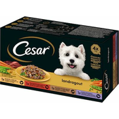 Cesar Ragu v omaki, različne sorte, 4 x 150g