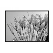 shumee PLAKAT ZA SLIKE V OKVIRJU 43x33 cm Rosa P675