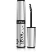 L’Oréal Paris Infaillible 24h Brow Lamination transparentni fiksacijski gel za obrvi odtenek Transparent 6 ml