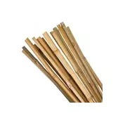 Ostatní Bambusova palica Euro tools 145441 Bamboo stick, diameter 1 - 1.5 cm, length 100 cm
