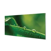 tulup.si Zidna obloga za kuhinju Kapljice trave makro 140x70 cm