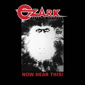 The Ozark Mountain Daredevils - Now Hear This! (Reissue) (LP)
