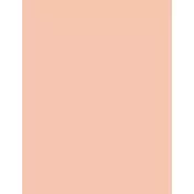 Chanel Le Teint Ultra mat posvjetljujuci puder 30 ml nijansa 22 Beige Rosé