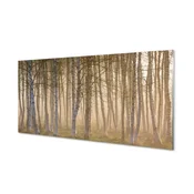 tulup.si Slika na akrilnem steklu Sunrise drevo gozd 140x70 cm 4 obešalnika