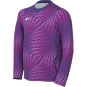 Nike Dres z dolgimi rokavi Dri-FIT Gardien VI Goalkeeper Long Sleeve Kids