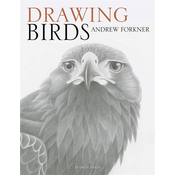Rayher. Knjiga Drawing Birds
