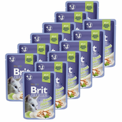 Hrana v vrečki BRIT Premium Cat Trout in Jelly 12x85 g