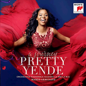 A JOURNEY PRETTY YENDE
