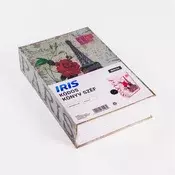 IRIS IBSC24 kodom upravljani sef za knjige, dimenzija 240x155x55 mm