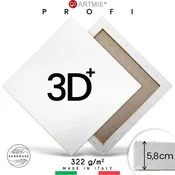 3D Slikarsko platno na okvirju PROFI - 50x50 cm