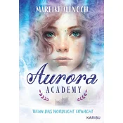 Aurora Academy (Band 1) - Wenn das Nordlicht erwacht