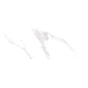 LENOX WHITE BRILLO