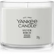 Yankee Candle Silver Birch votivna sveča 37 g
