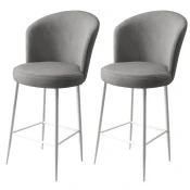Hanah Home Set barskih stolica Alte, 2 komada, Sivo-beli