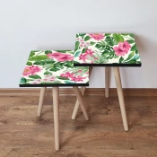 Hanah Home Set klub stocica 2Shp97, 2 komada, Šareni