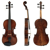 Viola (koncertna) Georg Walther Gewa – različne velikosti
