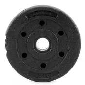 springos Bitumenska utež 1,25 kg, kompozitni disk za vzvodno palico s premerom 29 mm, disk za ročke., (5000218259)