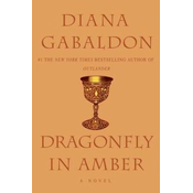Dragonfly in Amber