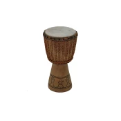 Djembe afriške ADJ 12 Studio 49