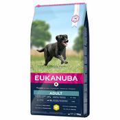 Eukanuba Adult Large Breed piščanec - Varčno pakiranje: 2 x 15 kg