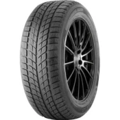 Double Star DW09 ( 255/50 R20 109H XL )