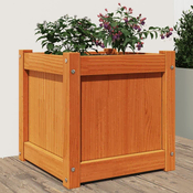 vidaXL vidaXL Vrtno cvetlično korito voščeno rjavo 40x40x40 cm trdna borovina, (21039149)